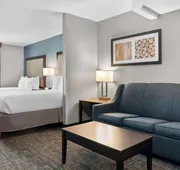 Best Western Plus Flint Airport Inn & Suites hotel detail image 4