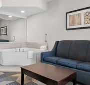 Best Western Plus Flint Airport Inn & Suites hotel detail image 7