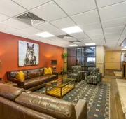Best Western Premier Ivy Inn & Suites hotel detail image 4