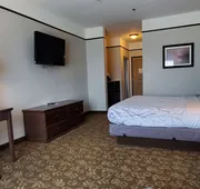 Best Western Plus Emory At Lake Fork Inn & Suites hotel detail image 5
