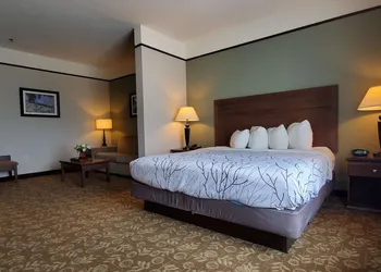 Best Western Plus Emory At Lake Fork Inn & Suites hotel thumbnail 8