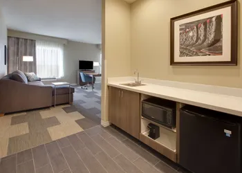 Hampton Inn Snyder TX hotel thumbnail 8