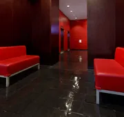 The Bryant Park Hotel hotel detail image 4