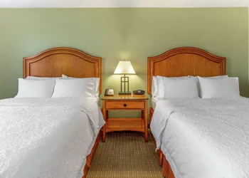 Hampton Inn Okeechobee - Lake Okeechobee hotel thumbnail 4