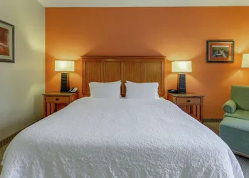 Hampton Inn Okeechobee - Lake Okeechobee hotel thumbnail 8