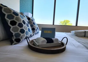 Illinois Beach Hotel hotel thumbnail 8