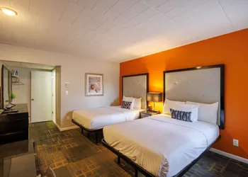 Hotel Royal Oak hotel thumbnail 5