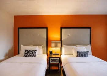 Hotel Royal Oak hotel thumbnail 6