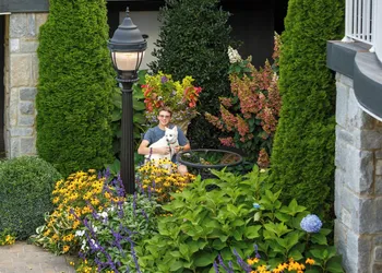The Park On Main hotel thumbnail 5