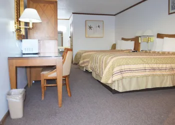 Night Inn hotel thumbnail 7