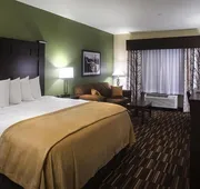Comfort Inn & Suites Beeville hotel detail image 7