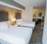 Springhill Suites by Marriott Winston-Salem Hanes Mall hotel detail image 3