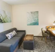 Springhill Suites by Marriott Winston-Salem Hanes Mall hotel detail image 4