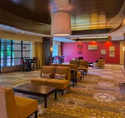 DoubleTree by Hilton Asheville - Biltmore hotel detail image 7