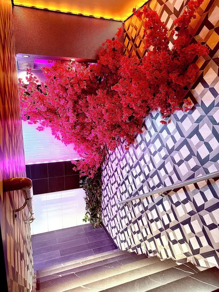 Umbrella Hotel hotel detail image 2
