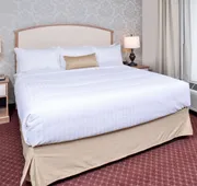 Appomattox Inn and Suites hotel detail image 5