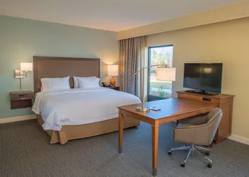 Hampton Inn & Suites Braselton hotel thumbnail 5