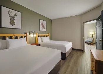 Great Wolf Lodge Anaheim, CA hotel thumbnail 6