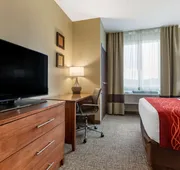 Comfort Inn & Suites Near Mt. Rushmore hotel detail image 7
