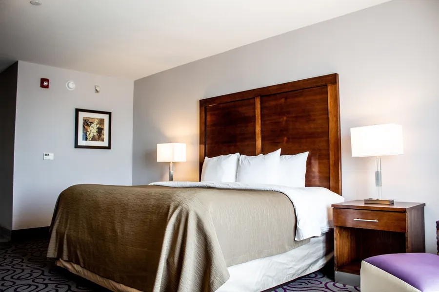 Comfort Inn & Suites Lovington hotel detail image 6