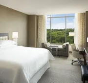 Sheraton Austin Georgetown Hotel & Conference Center hotel detail image 7