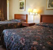 Executive Inn & Suites hotel detail image 4