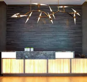 AC Hotel Atlanta Buckhead at Phipps Plaza hotel detail image 5