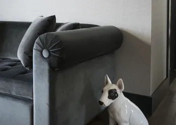 Kimpton Journeyman Hotel by IHG hotel thumbnail 5