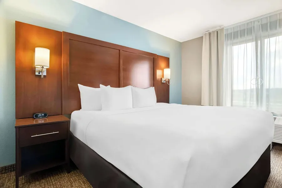 Comfort Suites Rensselaer near Fair Oaks hotel detail image 6