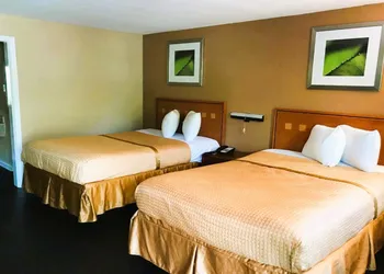 OYO Hotel Tallahassee Downtown hotel thumbnail 8