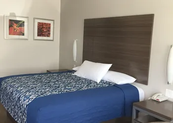 Palace Inn Gulfgate hotel thumbnail 8