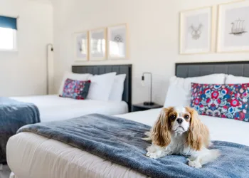 Viking Inn hotel thumbnail 6