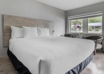 Danny’s Hotel Suites, SureStay Collection by Best Western hotel thumbnail 8