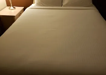 Shemron Suites Hotel hotel thumbnail 6