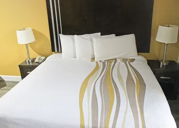 Palacio Royale Inn Houston NW Beltway 8 hotel thumbnail 8