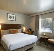 The Juniper Hotel hotel detail image 3