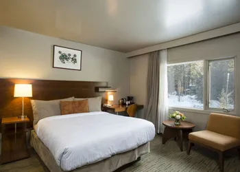 The Juniper Hotel hotel thumbnail 3