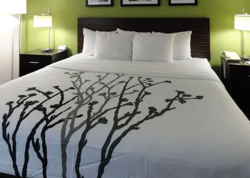 Sleep Inn & Suites Columbus - State University Area hotel thumbnail 2