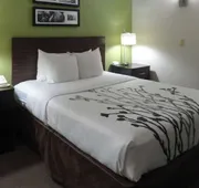 Sleep Inn & Suites Columbus - State University Area hotel detail image 3