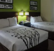 Sleep Inn & Suites Columbus - State University Area hotel detail image 4
