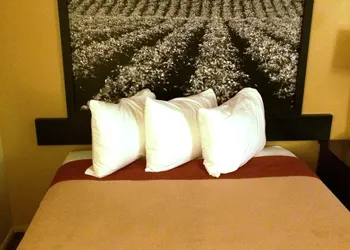 Super 8 by Wyndham Idaho Falls hotel thumbnail 7