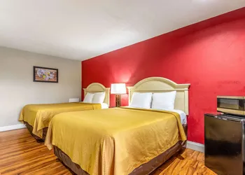 Econo Lodge Berea hotel thumbnail 8