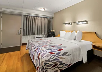 Red Roof Inn Salem hotel thumbnail 7