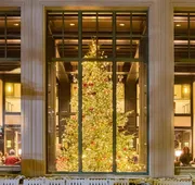 Park Hyatt Beaver Creek Resort and Spa hotel detail image 7