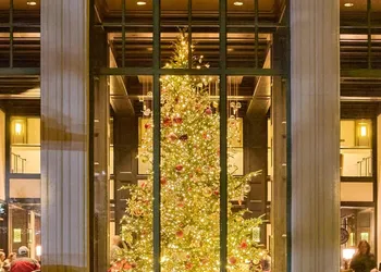 Park Hyatt Beaver Creek Resort and Spa hotel thumbnail 7