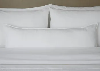 Sheraton Metairie - New Orleans Hotel hotel thumbnail 6