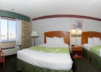 Lone Star Inn hotel thumbnail 2