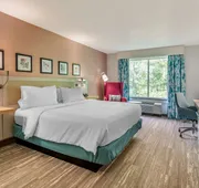Hilton Garden Inn Atlanta NE/Gwinnett Sugarloaf hotel detail image 4