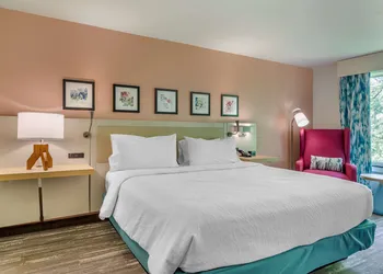 Hilton Garden Inn Atlanta NE/Gwinnett Sugarloaf hotel thumbnail 6