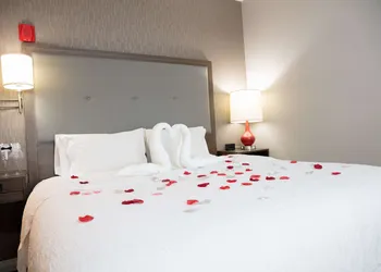 Hampton Inn Toledo/Oregon hotel thumbnail 6